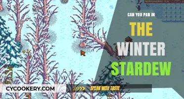 Winter Fishing: Stardew Valley's Pan Options
