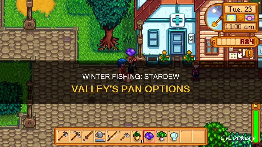 can you pan in the winter stardew