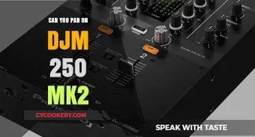 Panning Techniques on the DJM-250: Mastering the Mix