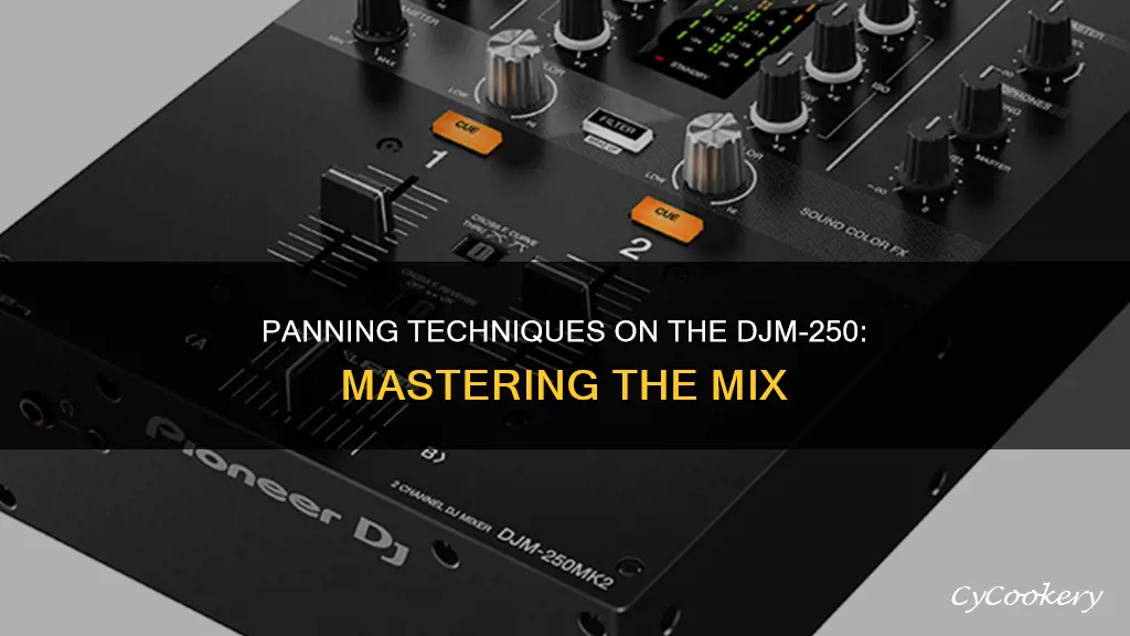 can you pan on djm 250 mk2