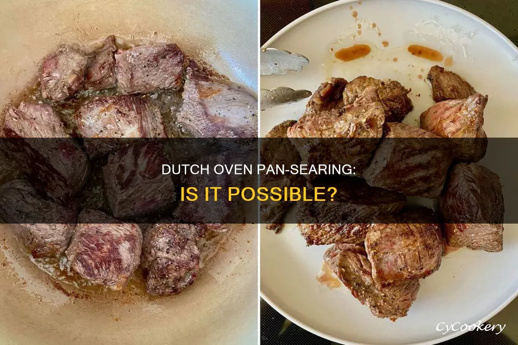 can you pan sear with dutch oven