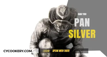 Panning for Silver: Is It Possible?