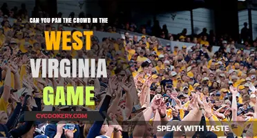 Panning Crowd Techniques: West Virginia Game