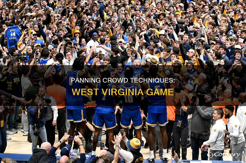 can you pan the crowd in the west virginia game