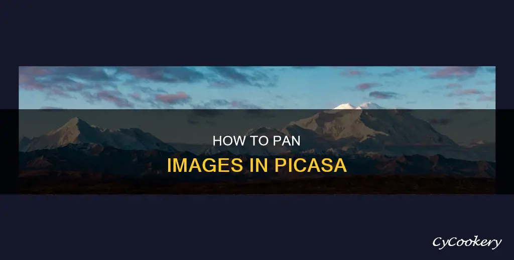 can you pan the image in picasa
