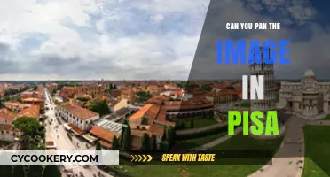 Panning Images: Pisa's Secrets Revealed