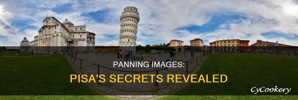 can you pan the image in pisa