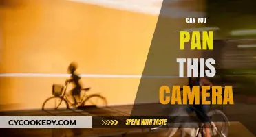 Panning Photography: Can Your Camera Do This?