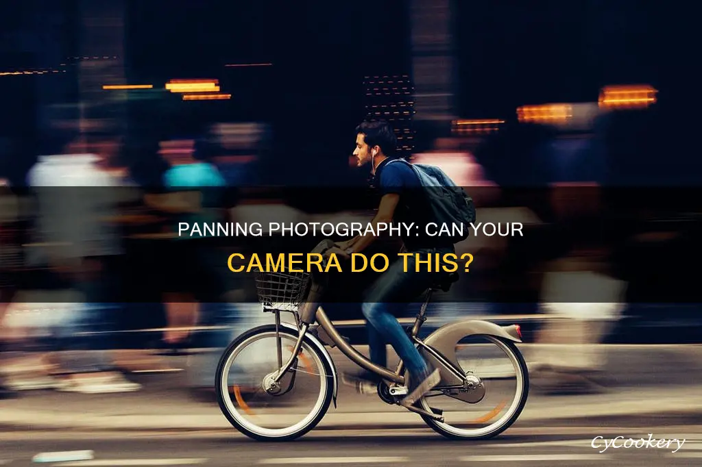 can you pan this camera