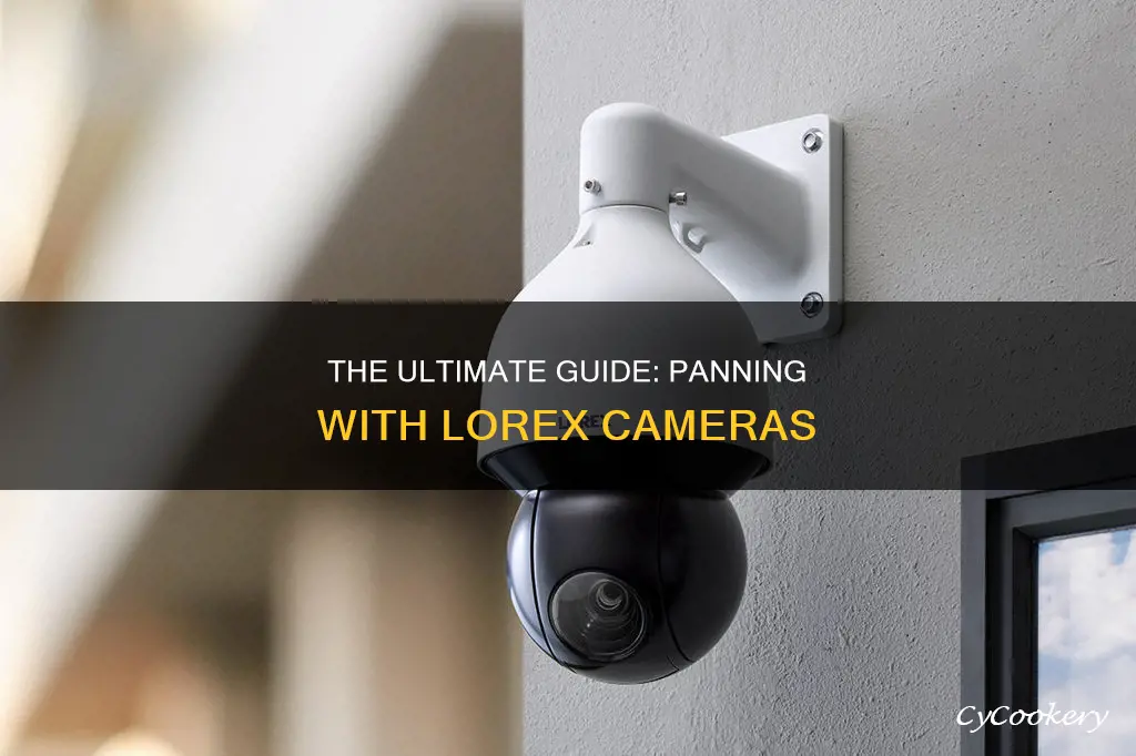 can you pan with lorex