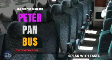How to Choose Your Seat on Peter Pan Buses