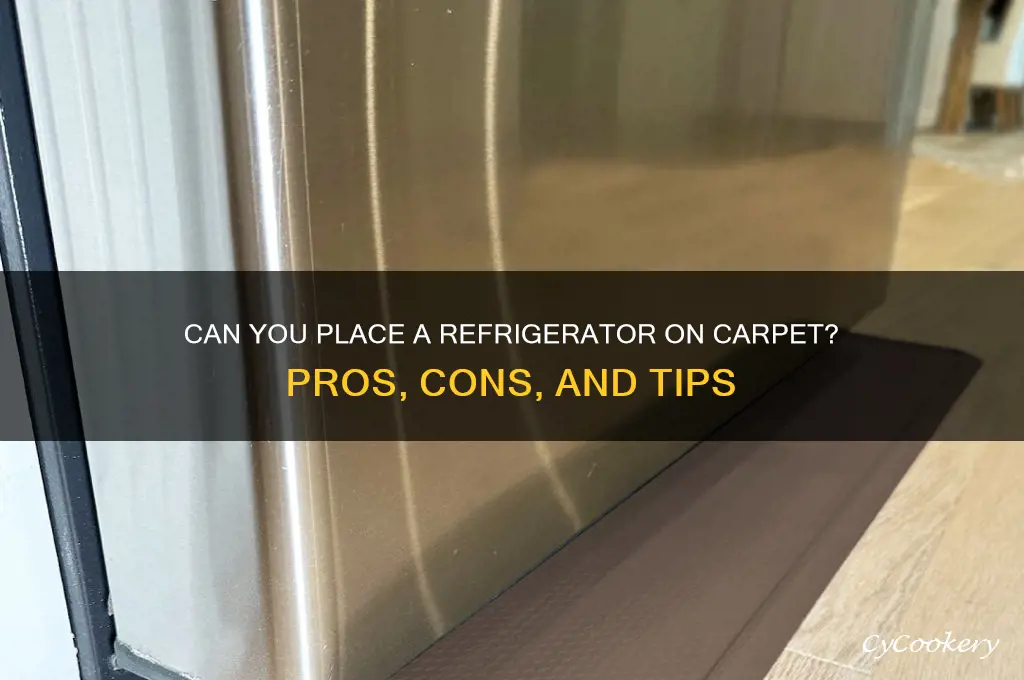 can you place a refrigerator on carpet