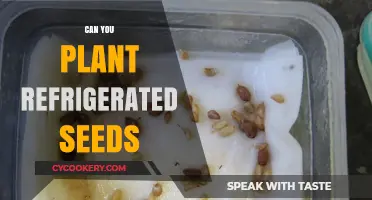Can Refrigerated Seeds Still Grow? Tips for Successful Planting