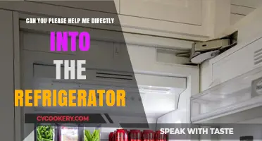 Directly Into the Fridge: Quick Tips for Efficient Refrigerator Use
