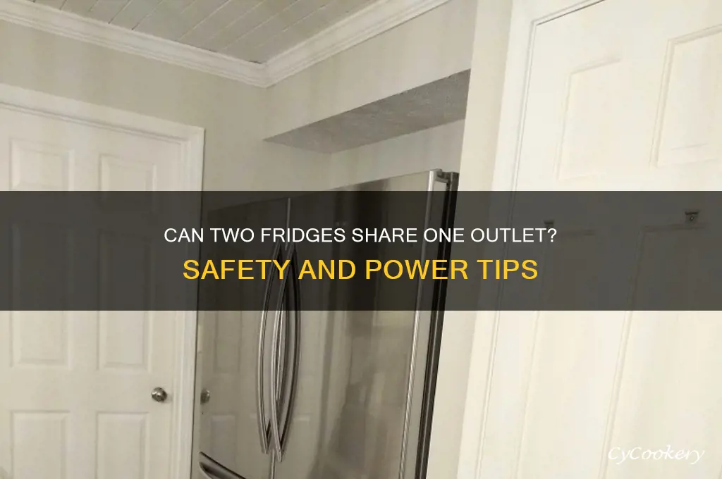 can you plug 2 refrigerators into one outlet
