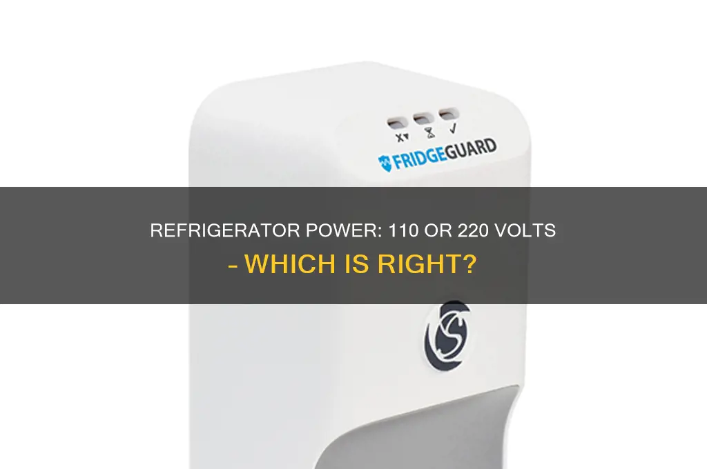 can you plug a refrigerator into 110 or 220