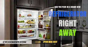 New Fridge Setup: Can You Plug It In Immediately?