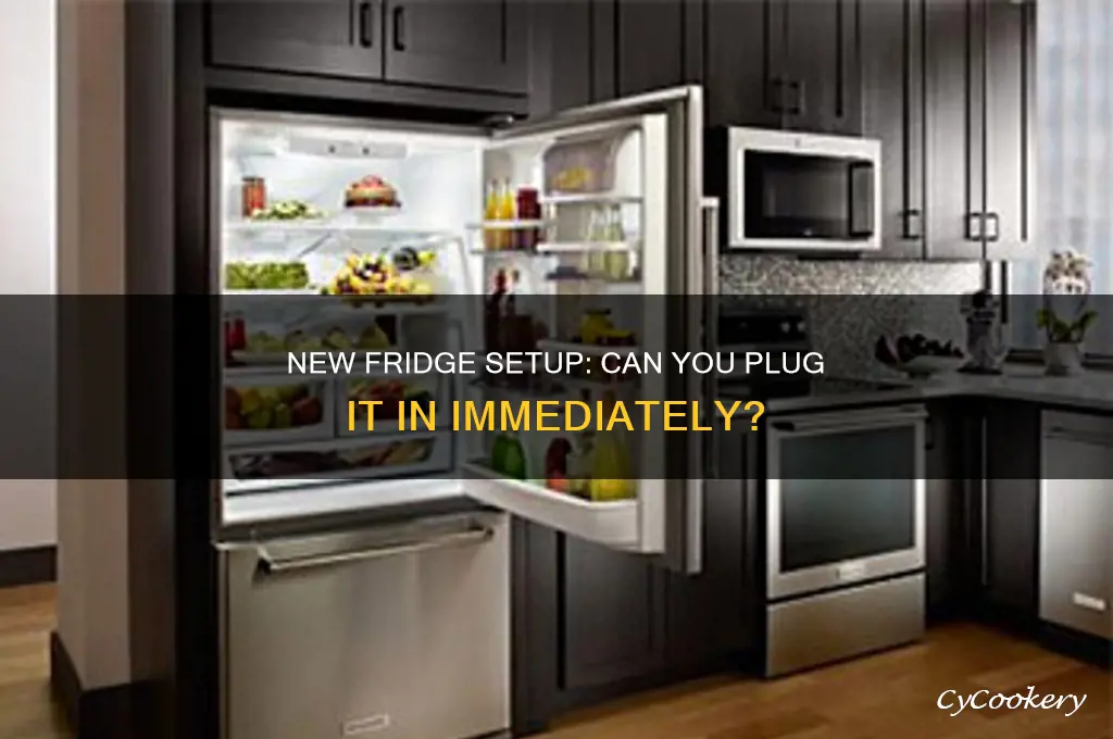 can you plug in a brand new refrigerator right away