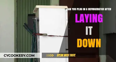 Can You Plug In a Refrigerator After Laying It Down?
