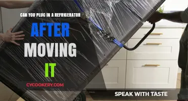 Moving Your Fridge? When and How to Safely Plug It Back In
