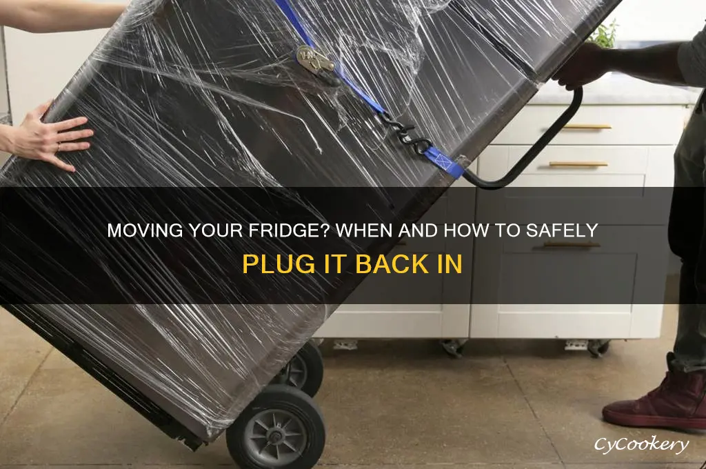 can you plug in a refrigerator after moving it