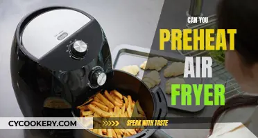 Air Fryer Preheating: Is It Necessary?