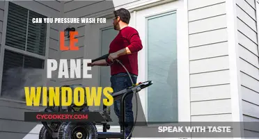 The Best Way to Clean Le Pane Windows?