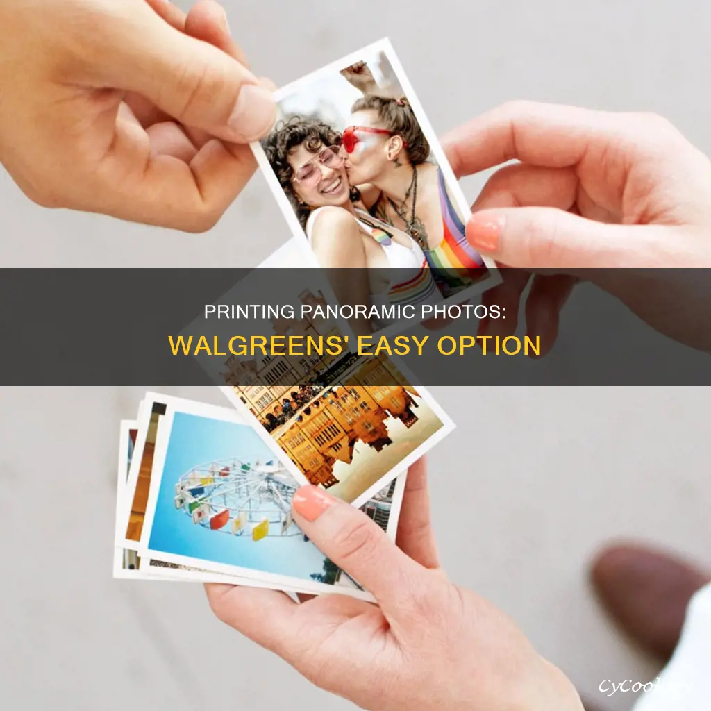 can you print panos at walgrens