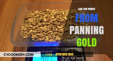 Gold Panning: A Profitable Hobby or Just Fool's Gold?