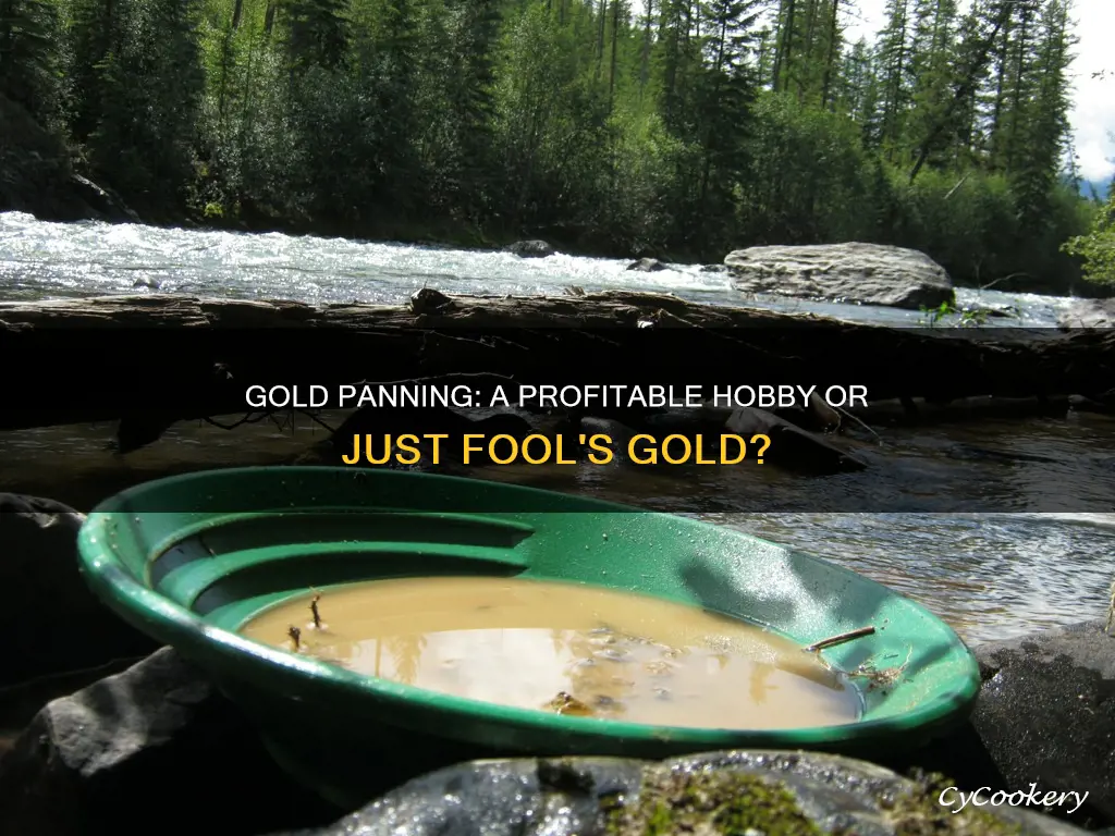 can you profit from panning gold