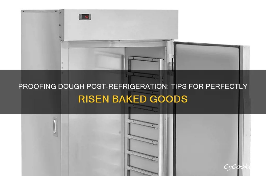 can you proof dough after refrigeration