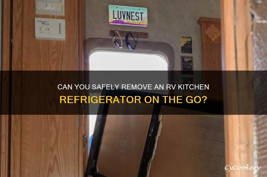 can you pull the kitchen refrigerator out of rv journey
