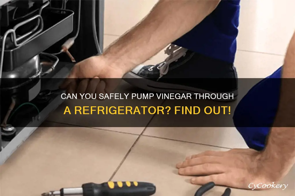 can you pump vinegar through a refrigerator