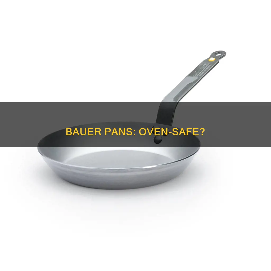 can you put a bauer pan in the oven