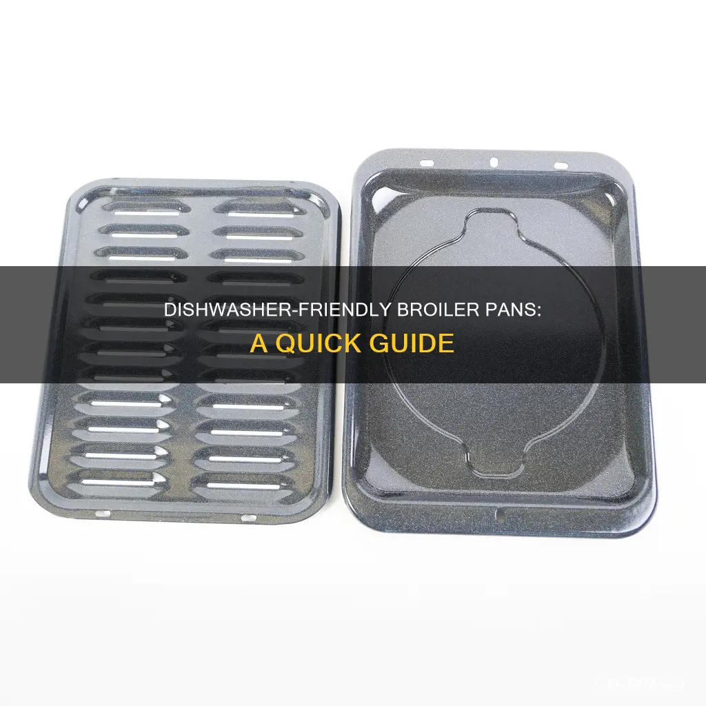 can you put a broiler pan in the dishwasher