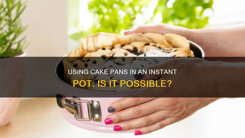 can you put a cake pan in an instant pot