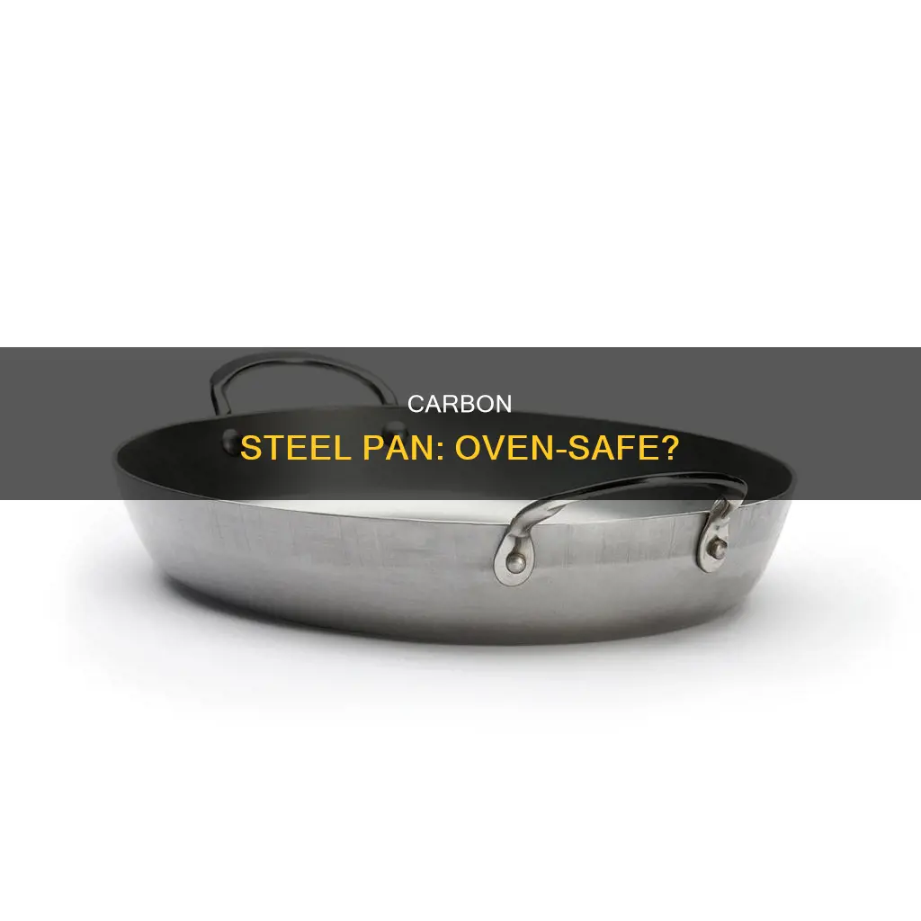 can you put a carbon steel pan in the oven
