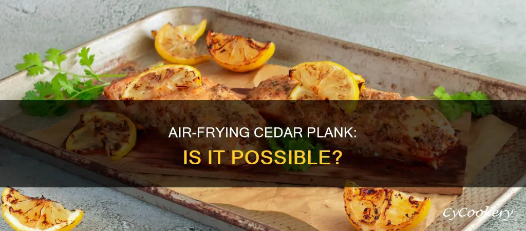 can you put a cedar plank in air fryer