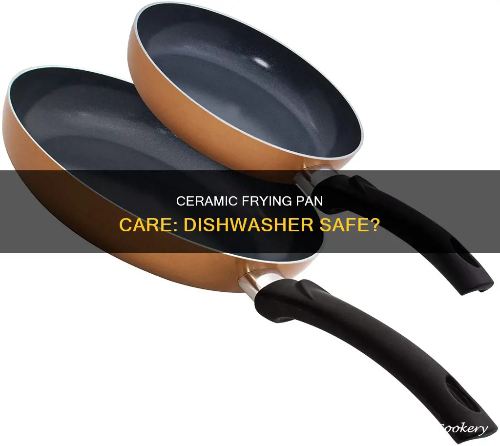 can you put a ceramic frying pan in the dishwasher