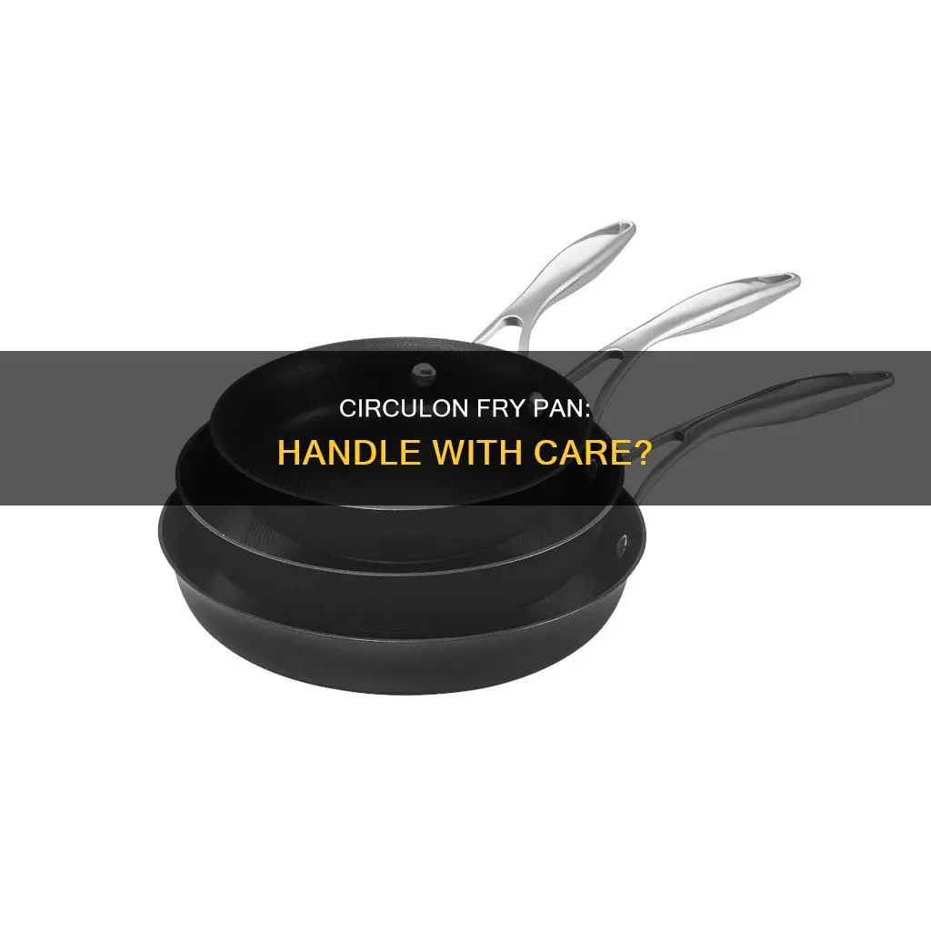 can you put a circulon fry pan with handle guard