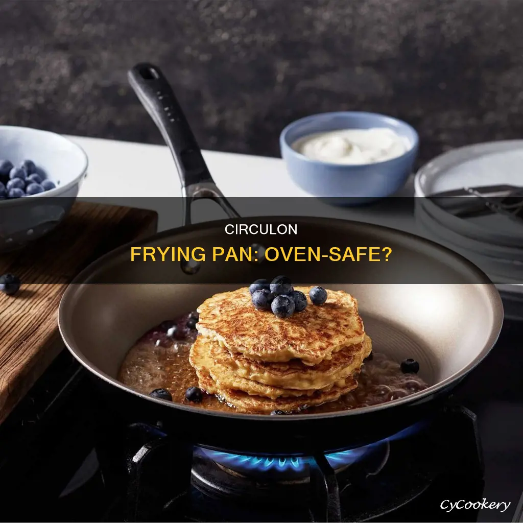 can you put a circulon frying pan in the oven