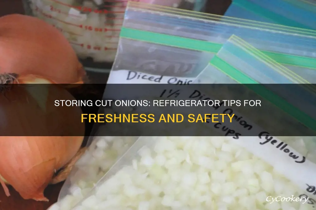 can you put a cut onion in the refrigerator