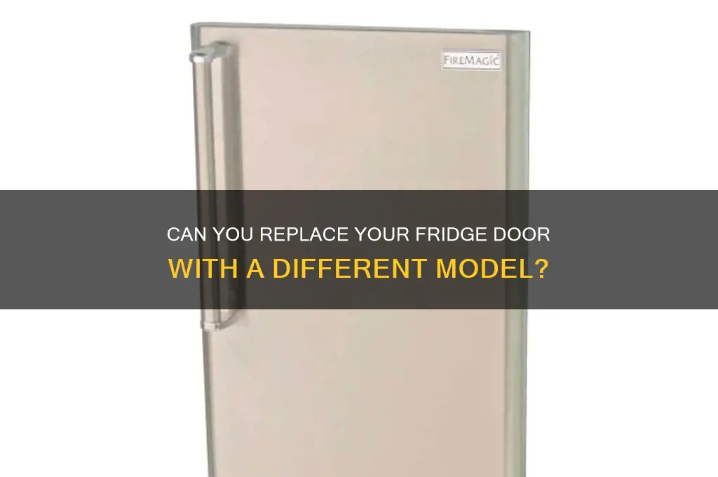 can you put a different door on a refrigerator