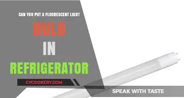Can Fluorescent Light Bulbs Safely Illuminate Your Refrigerator?