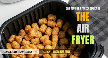 Air Fryer Frozen Dinners: Safe or Not?