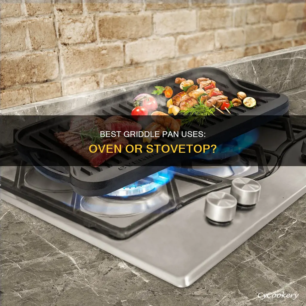 can you put a griddle pan in the oven