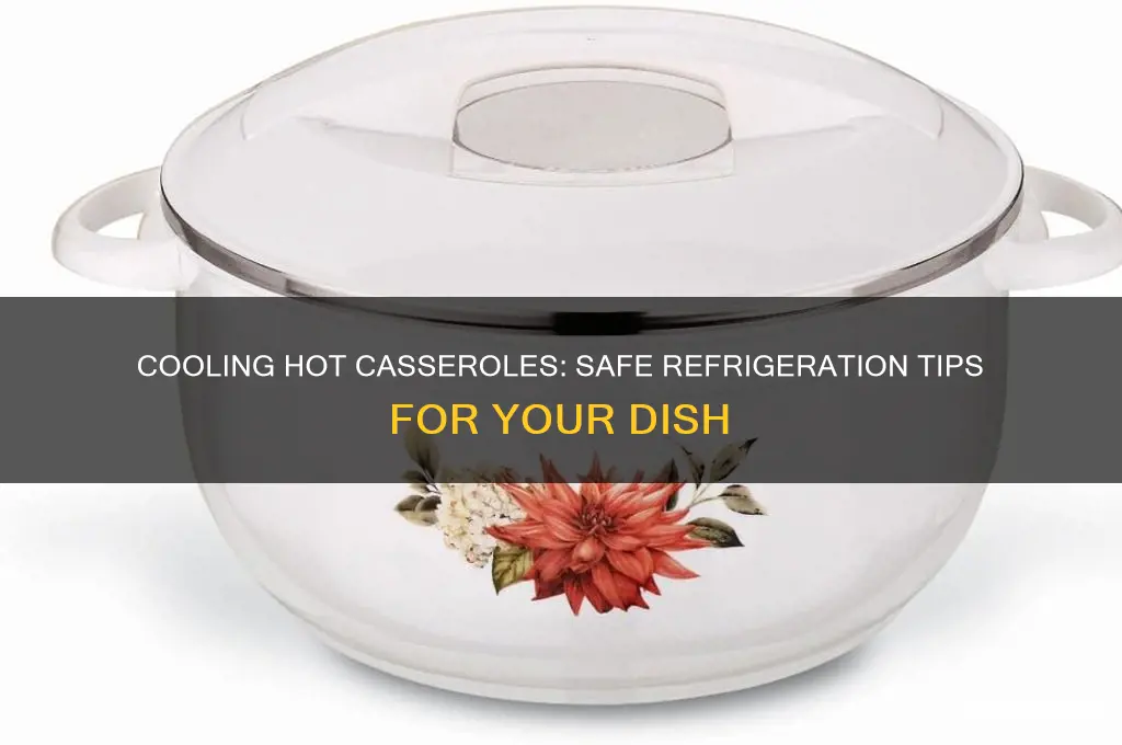 can you put a hot casserole in the refrigerator