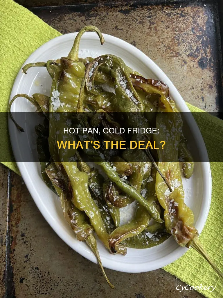 can you put a hot pan in the fridge