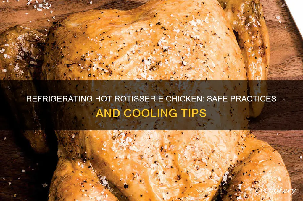 can you put a hot rotisserie chicken in the refrigerator