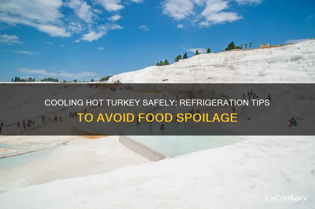 can you put a hot turkey in the refrigerator